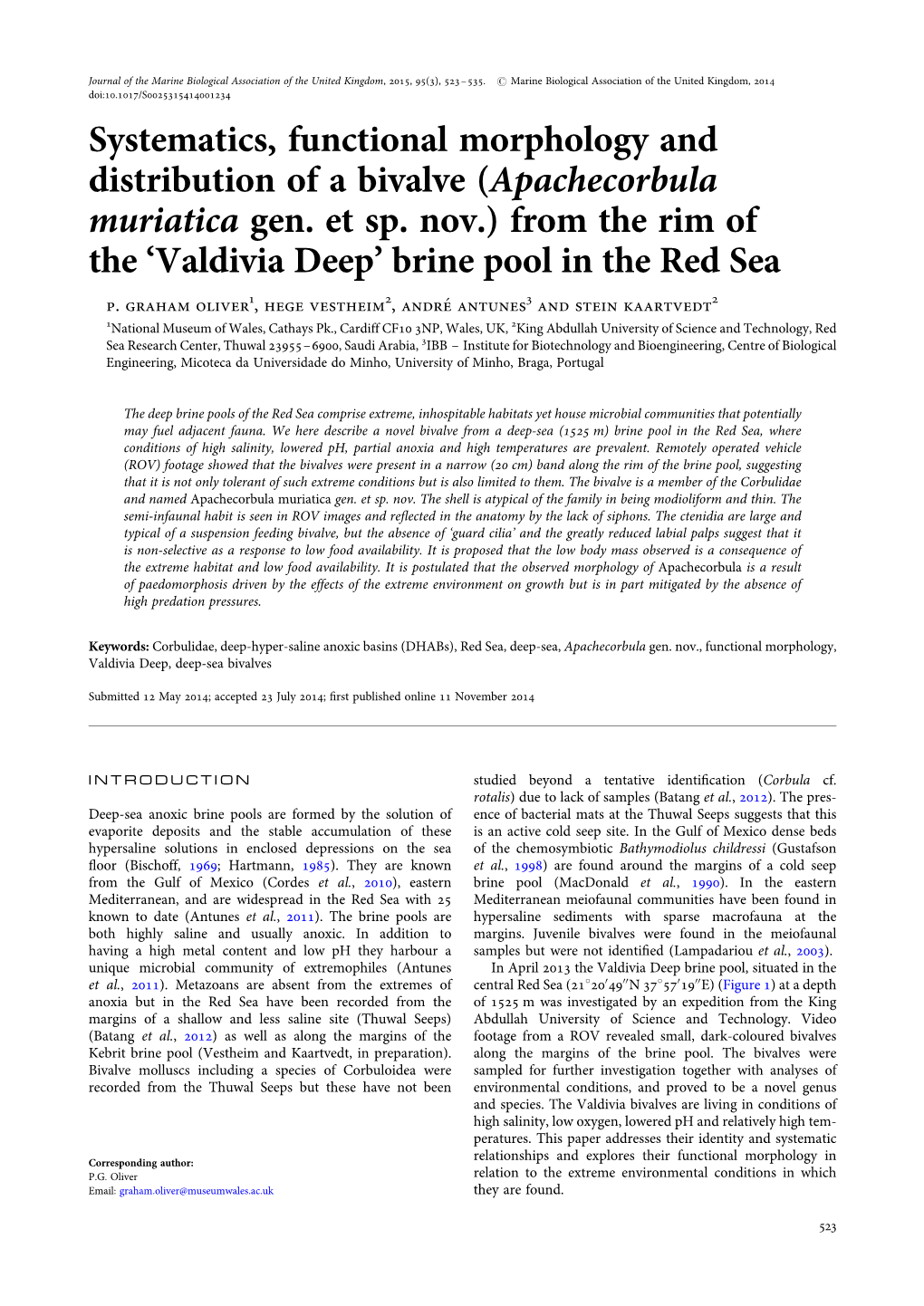 Systematics, Functional Morphology and Distribution of a Bivalve (Apachecorbula Muriatica Gen