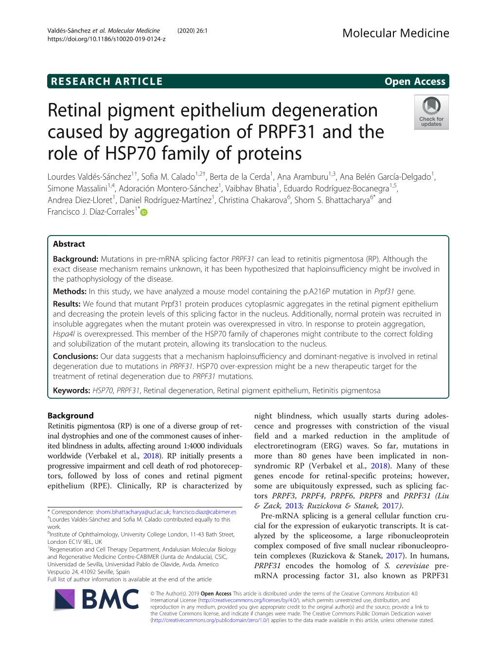 Retinal Pigment Epithelium Degeneration Caused by Aggregation of PRPF31 and the Role of HSP70 Family of Proteins Lourdes Valdés-Sánchez1†, Sofia M