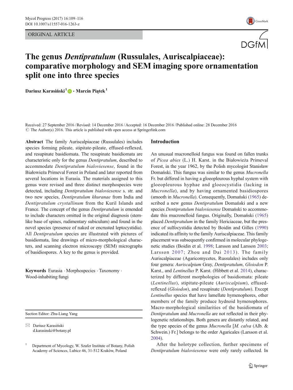 The Genus Dentipratulum (Russulales, Auriscalpiaceae): Comparative Morphology and SEM Imaging Spore Ornamentation Split One Into Three Species