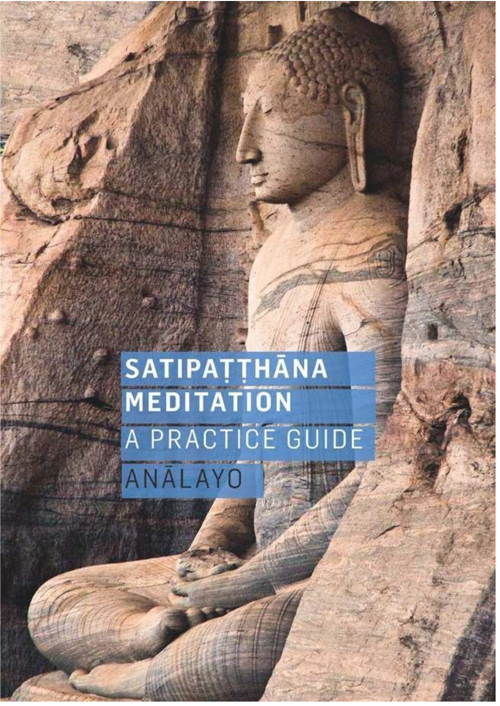 Satipaṭṭhāna Meditation: a Practice Guide