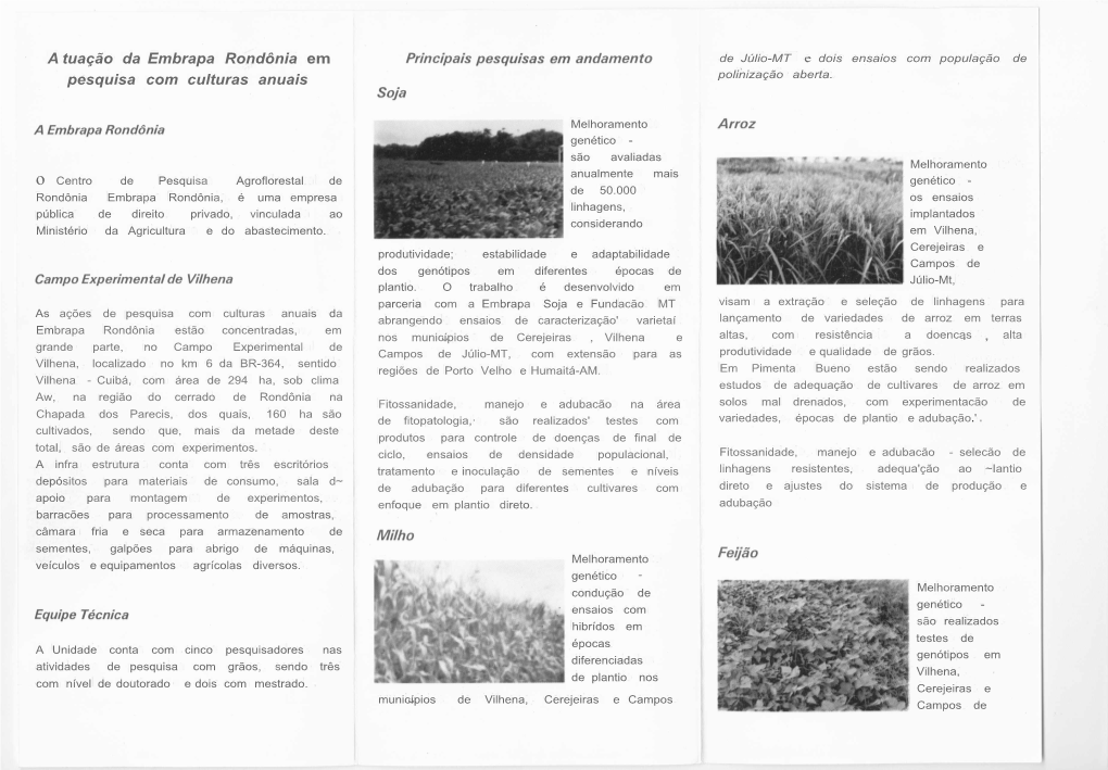 Atuação Da Embrapa Rondônia Em Pesquisa Com Culturas Anuais