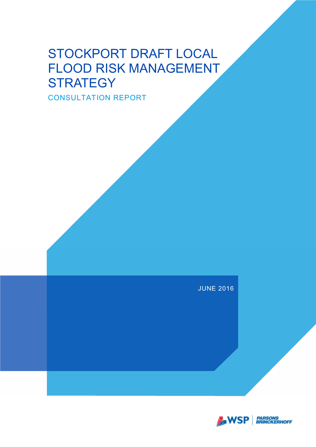 LFRMS Consultation Report