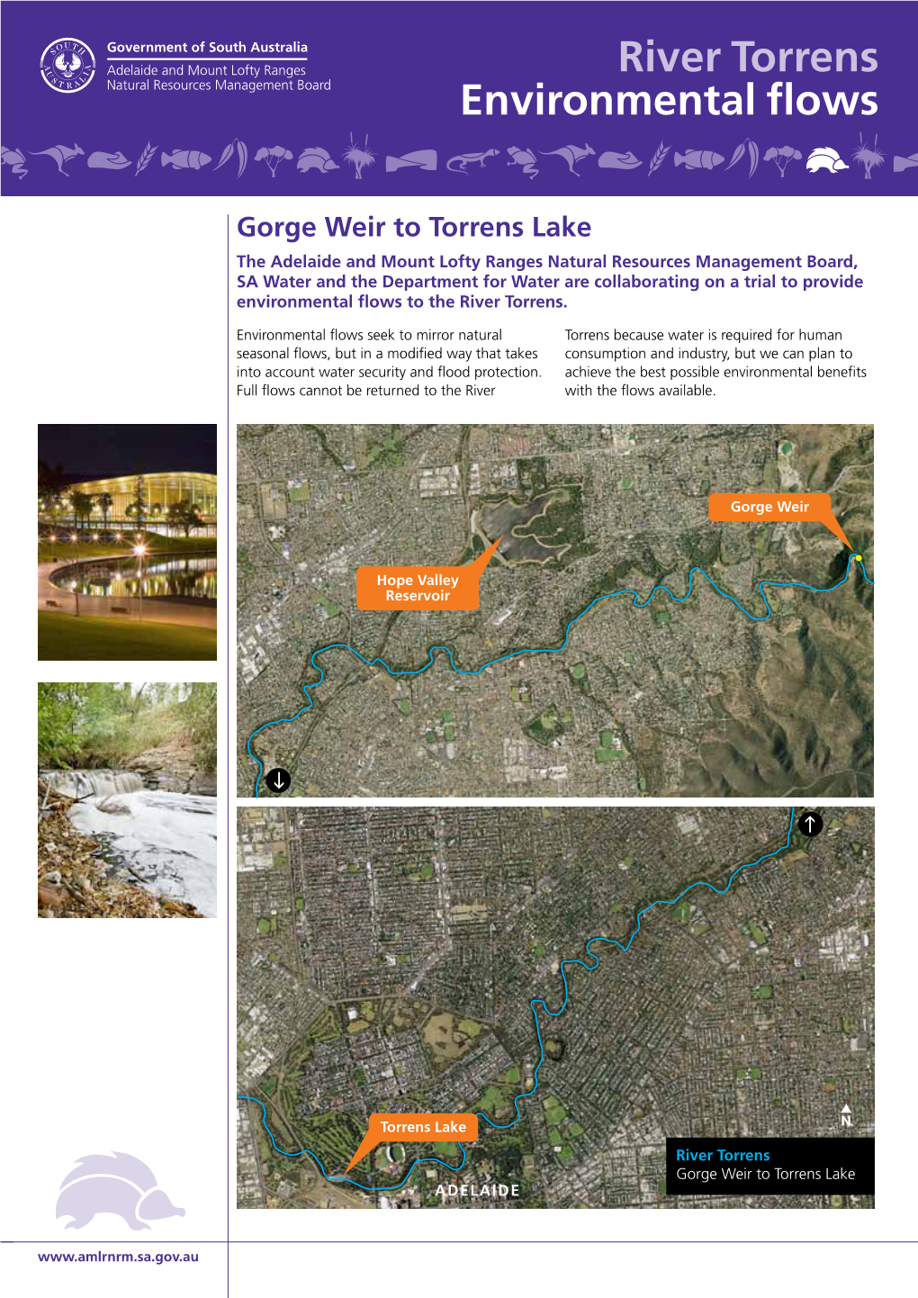 River Torrens Environmental Flows
