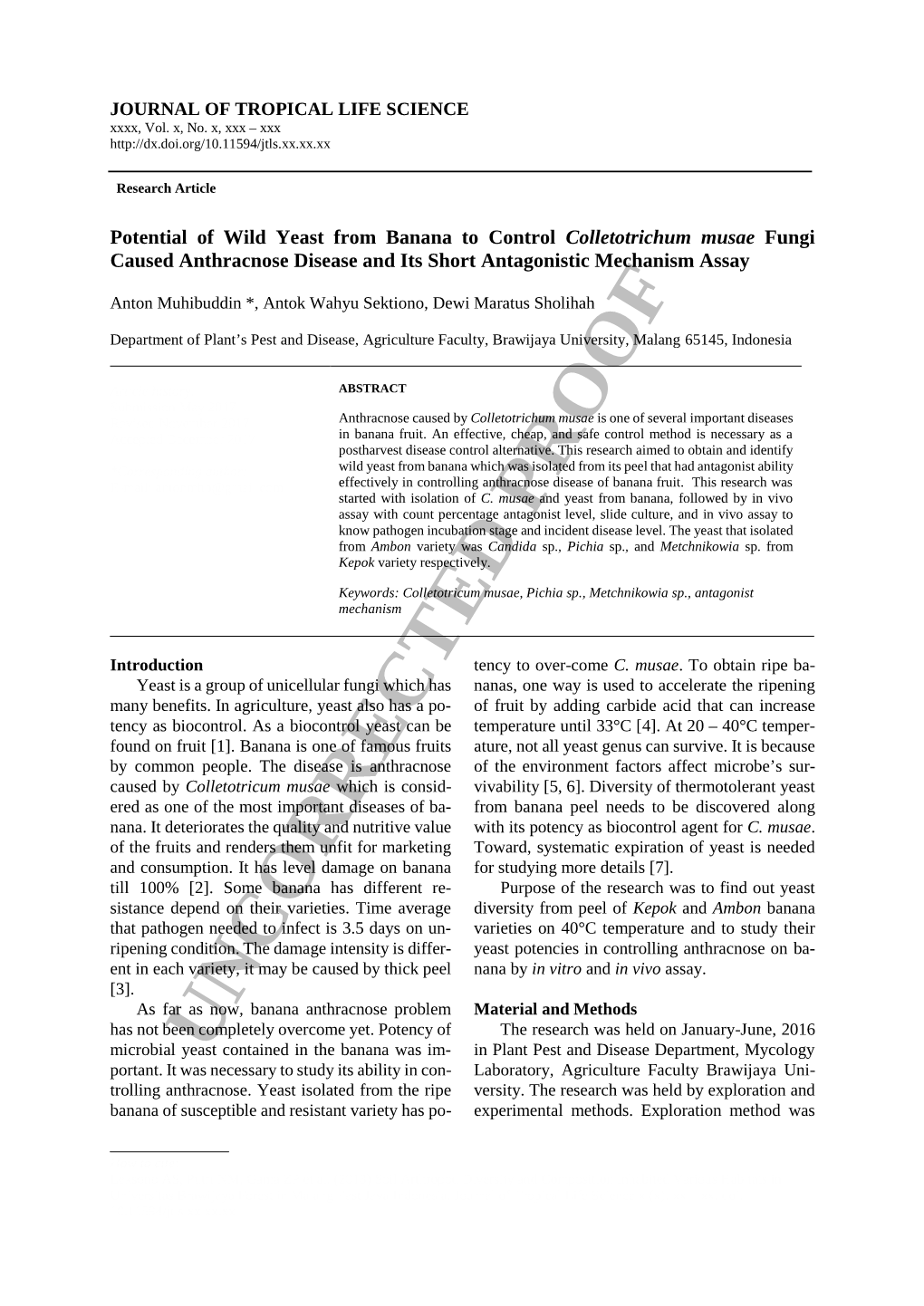 Potential of Wild Yeast from Banana to Control Colletotrichum Musae Fungi Caused Anthracnose Disease and Its Short Antagonistic Mechanism Assay