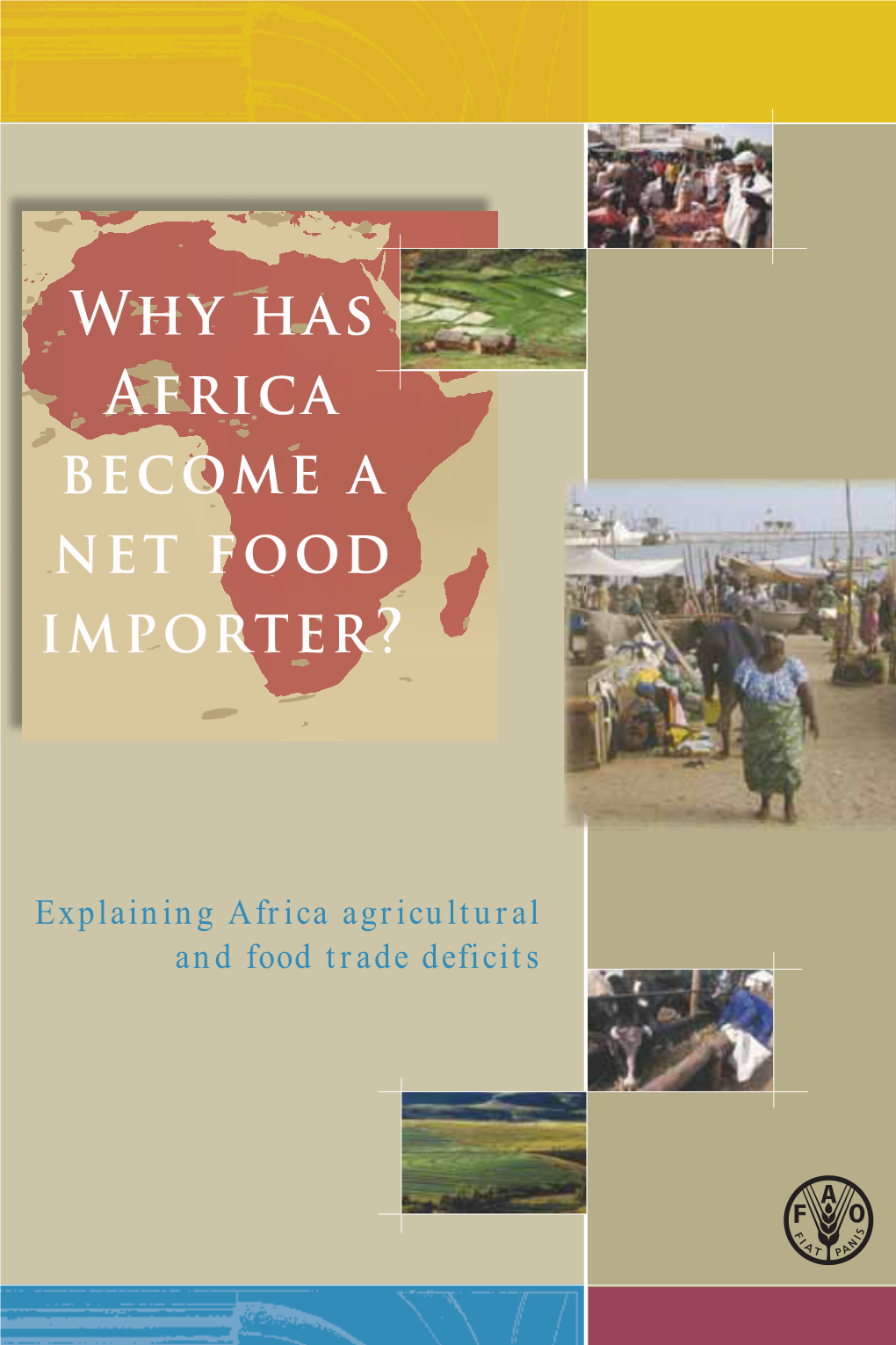 Why Has Africa Become a Net Food Importer?