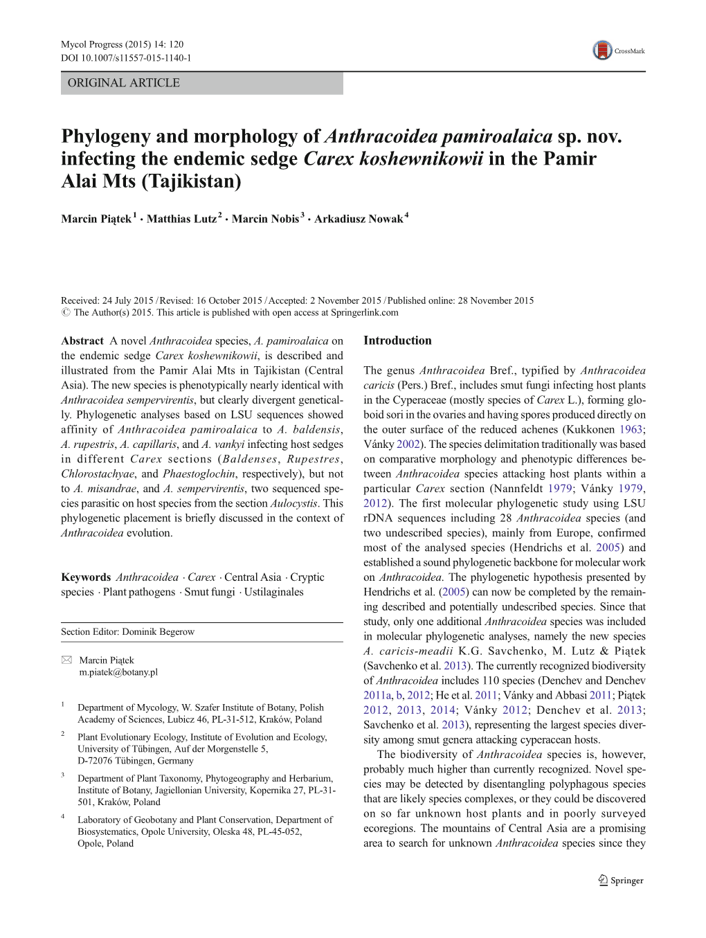 Phylogeny and Morphology of Anthracoidea Pamiroalaica Sp. Nov