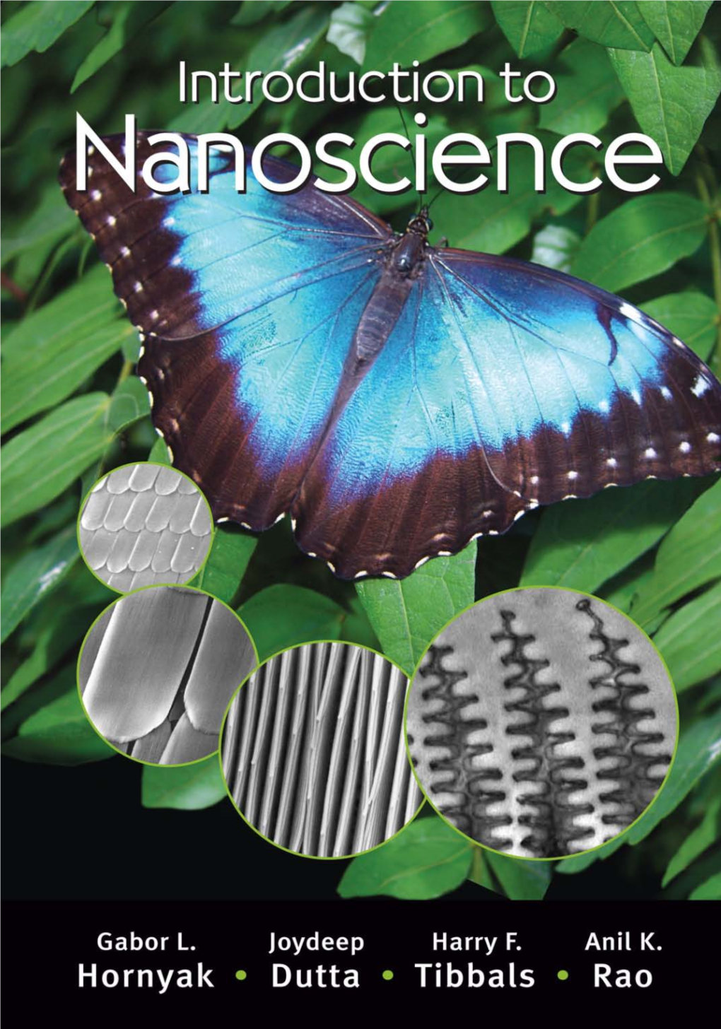 Introduction to Nanoscience / Gabor Louis Hornyak