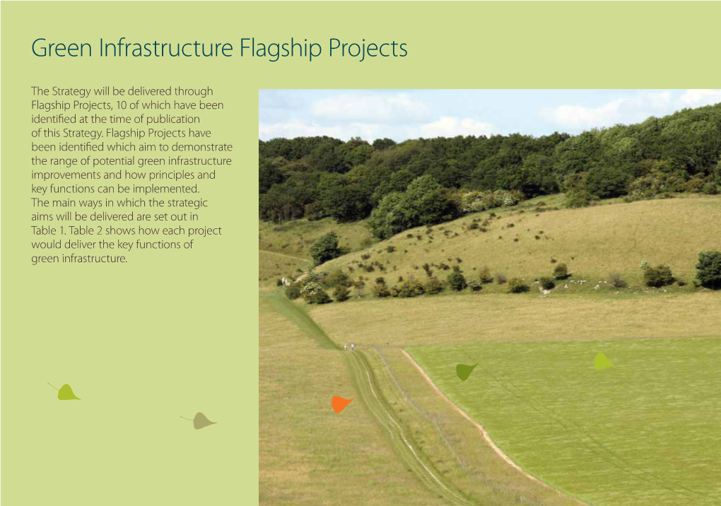 Green Infrastructure Flagship Projects