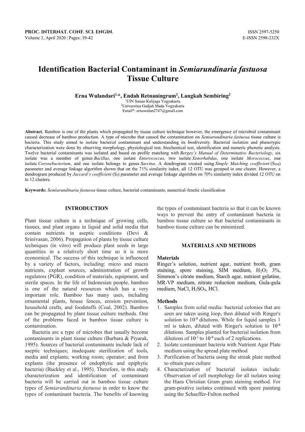 Identification Bacterial Contaminant in Semiarundinaria Fastuosa Tissue Culture