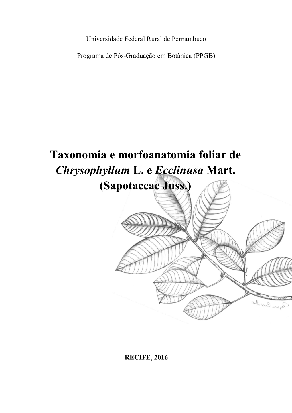 Taxonomia E Morfoanatomia Foliar De Chrysophyllum L. E Ecclinusa Mart