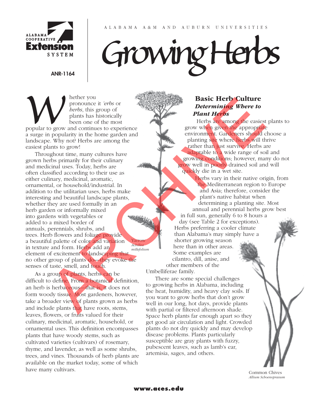 Growing Herbs ANR-1164