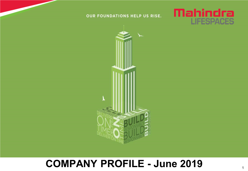 COMPANY PROFILE - June 2019 1 Outline