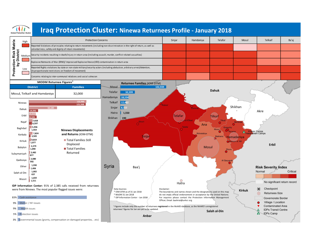 Iraq Protection Cluster: Ninewa Returnees Profile - January 2018