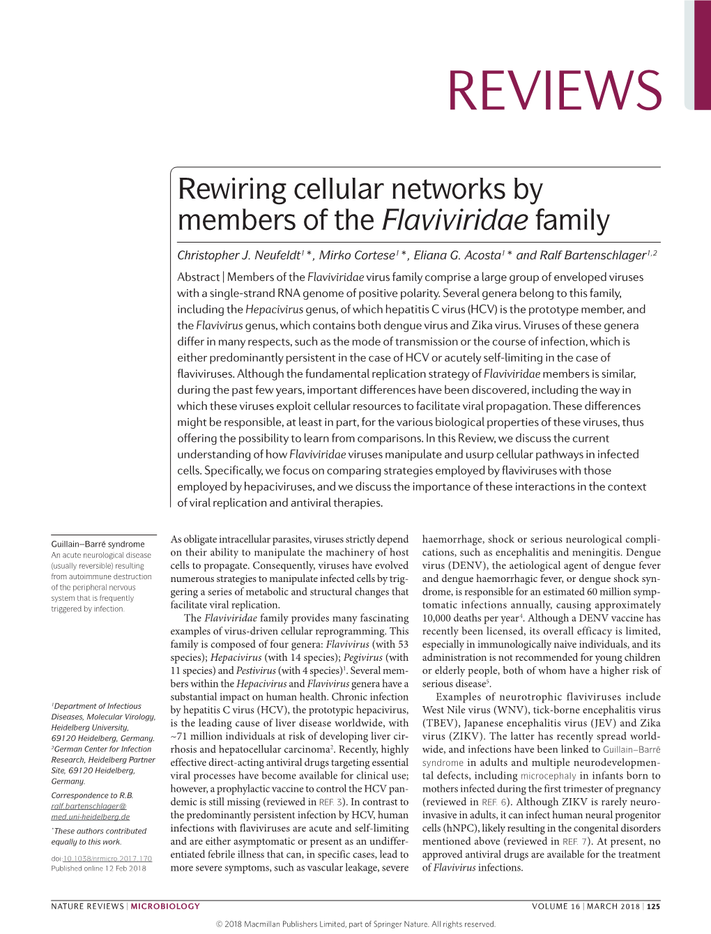 Rewiring Cellular Networks by Members of the Flaviviridae Family