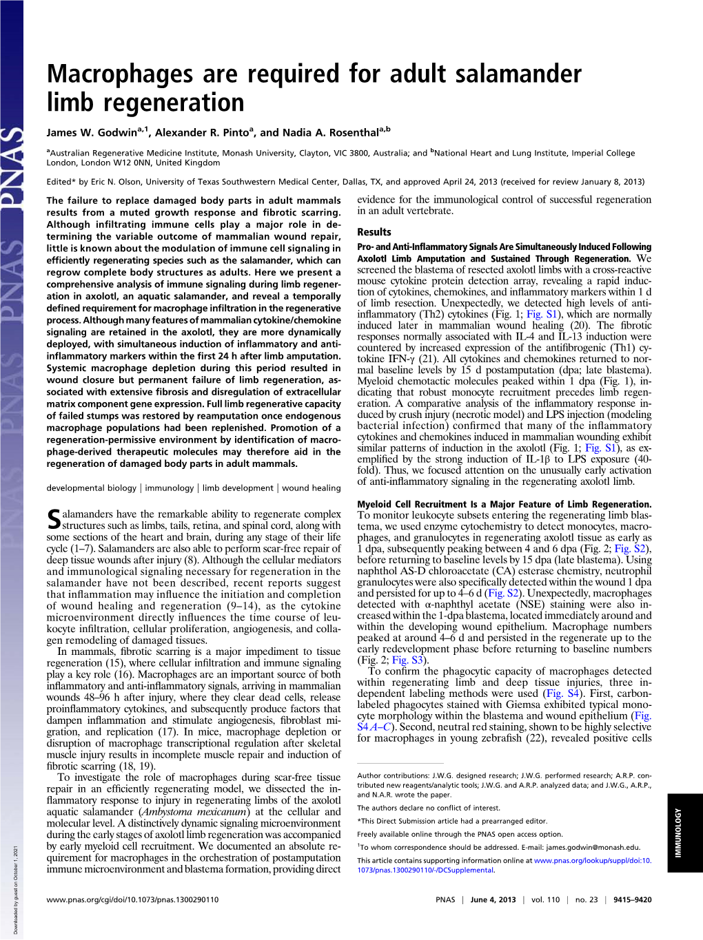 Macrophages Are Required for Adult Salamander Limb Regeneration