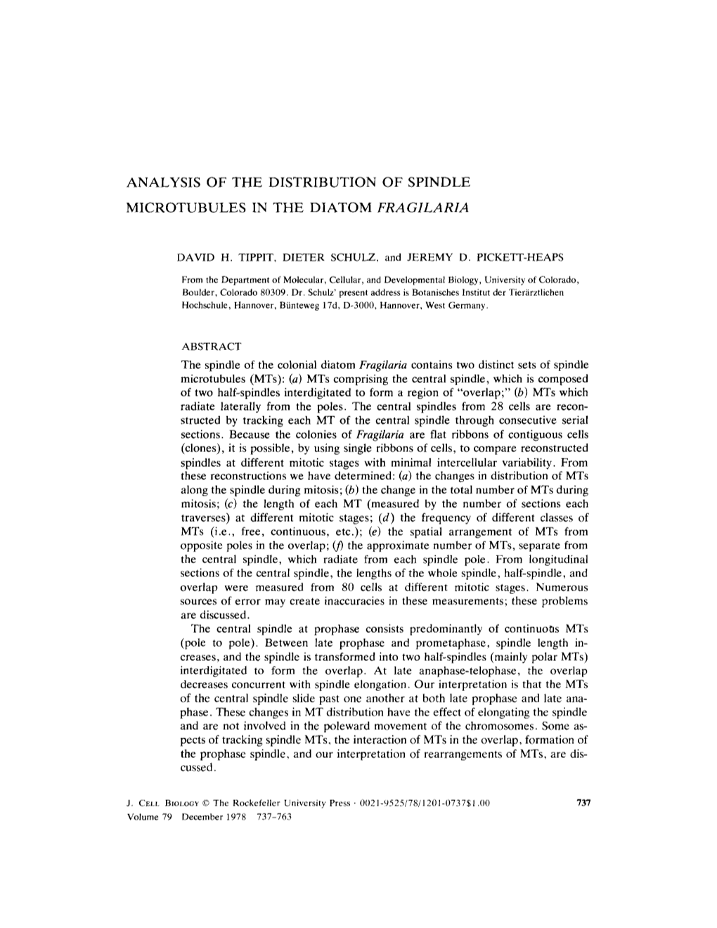 Analysis of the Distribution of Spindle Microtubules In