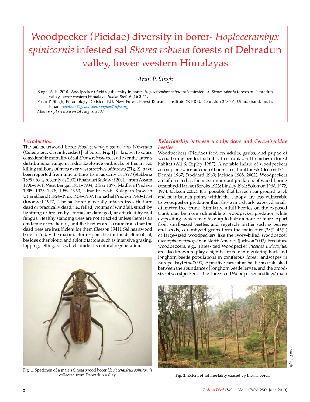 Woodpecker (Picidae) Diversity in Borer- Hoplocerambyx Spinicornis Infested Sal Shorea Robusta Forests of Dehradun Valley, Lower Western Himalayas