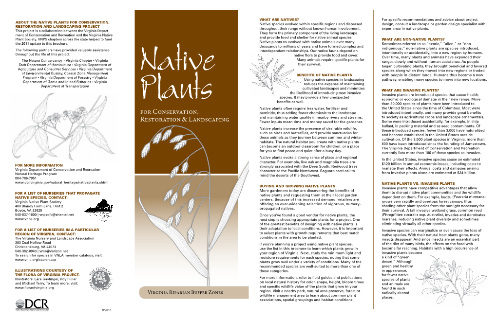 Riparian Native Plants