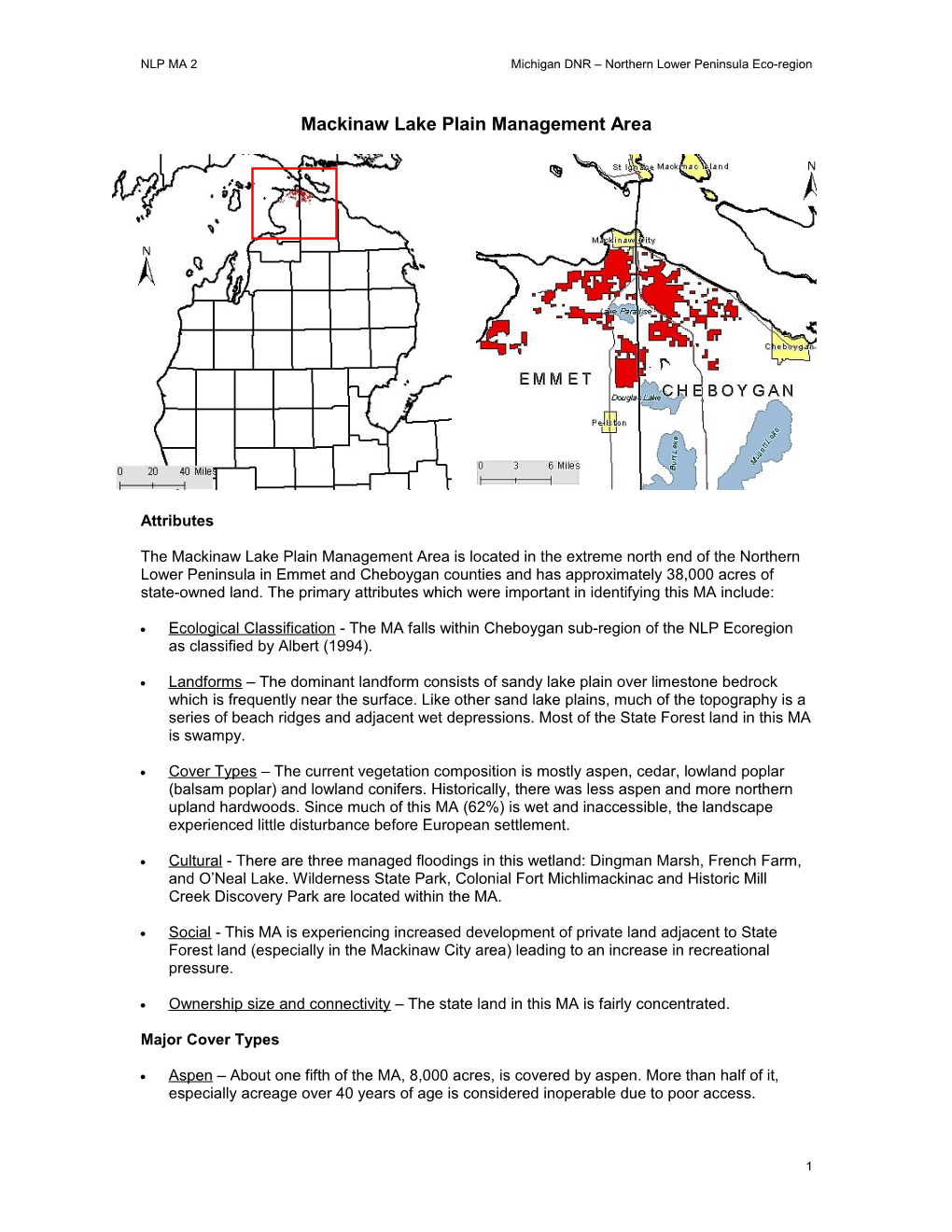 Mackinaw Lake Plain MA Brief