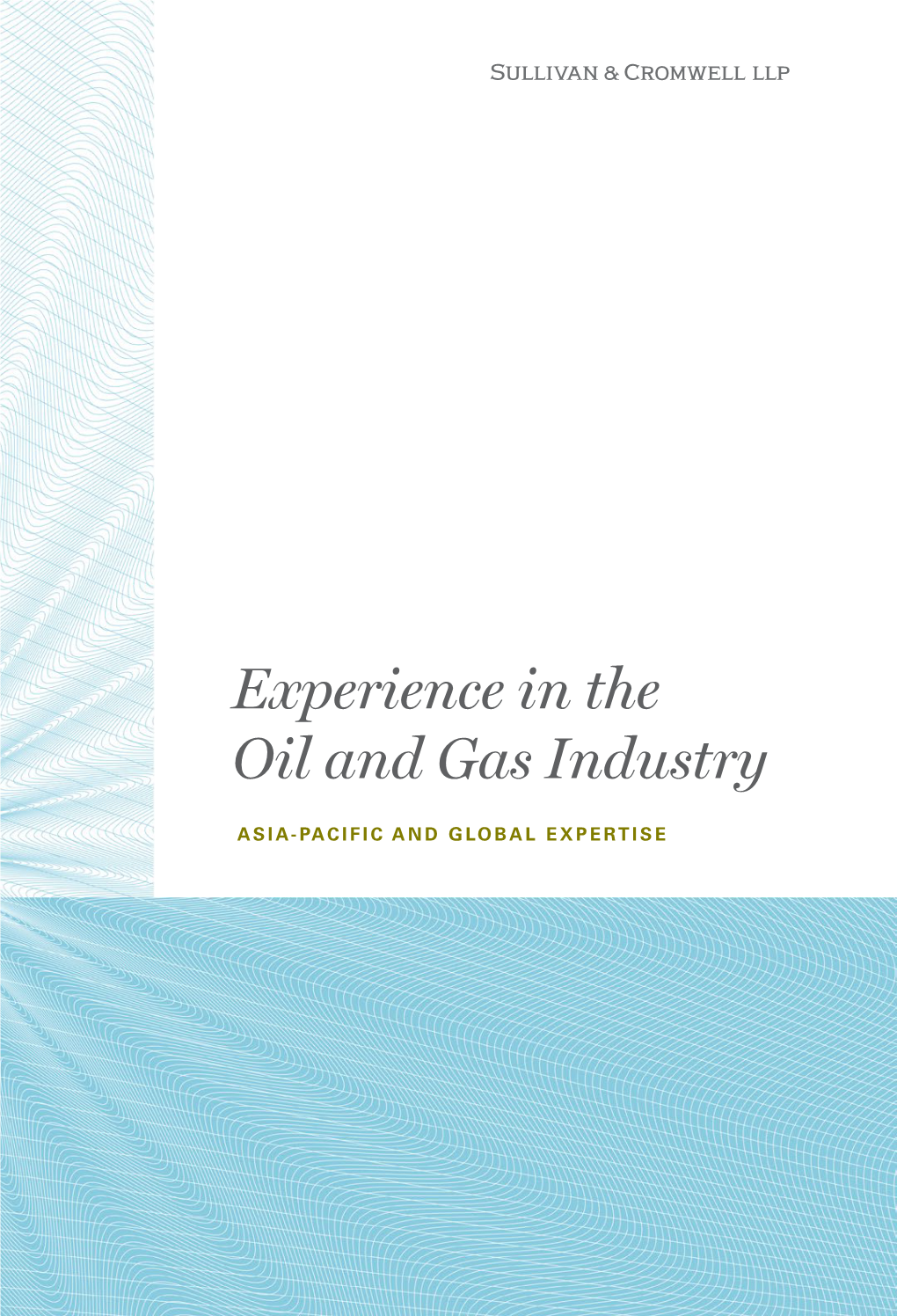 Experience in the Oil and Gas Industry