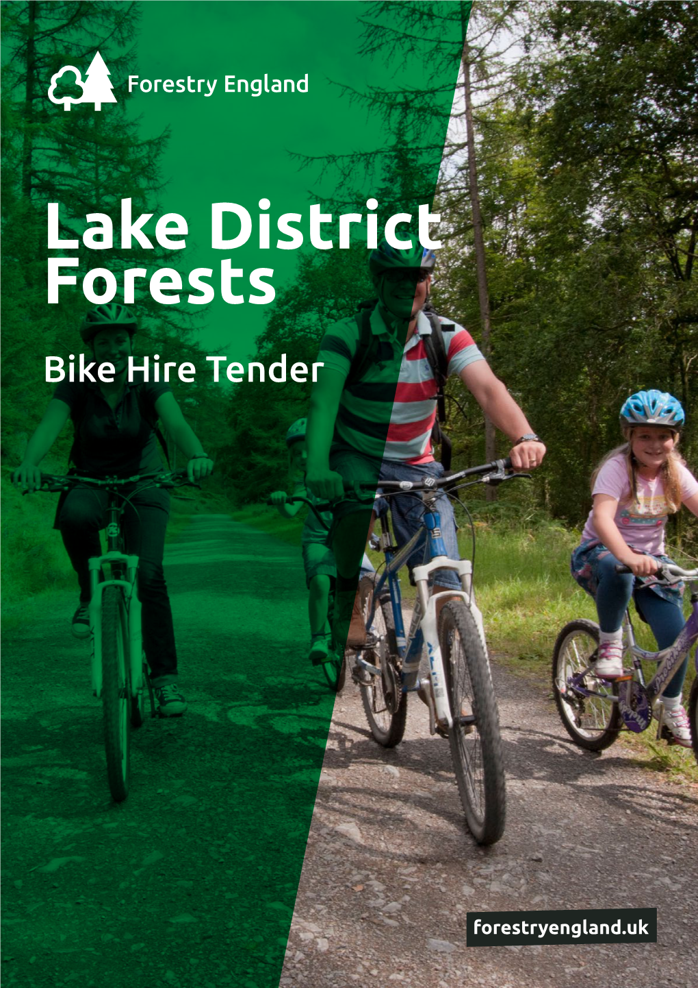 Lake District Forests Bike Hire Tender