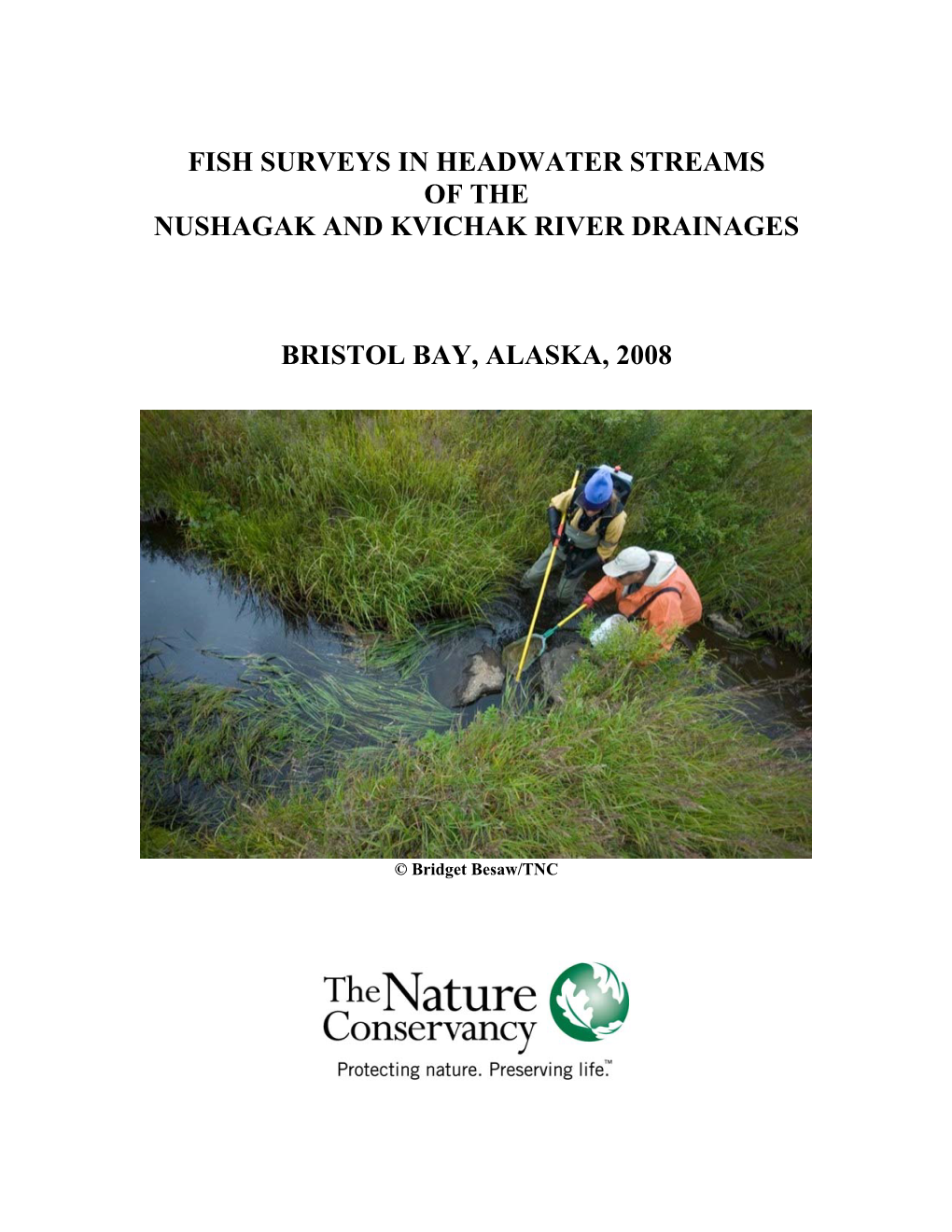 Fish Surveys in Headwater Streams of the Nushagak and Kvichak River Drainages