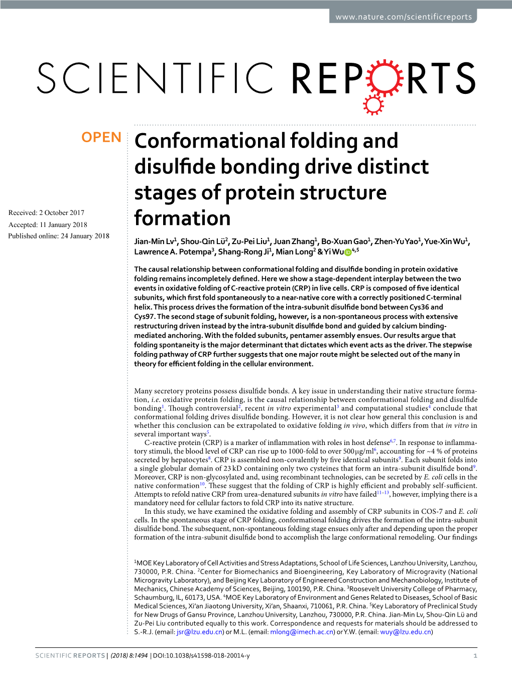 Conformational Folding and Disulfide Bonding Drive Distinct Stages Of