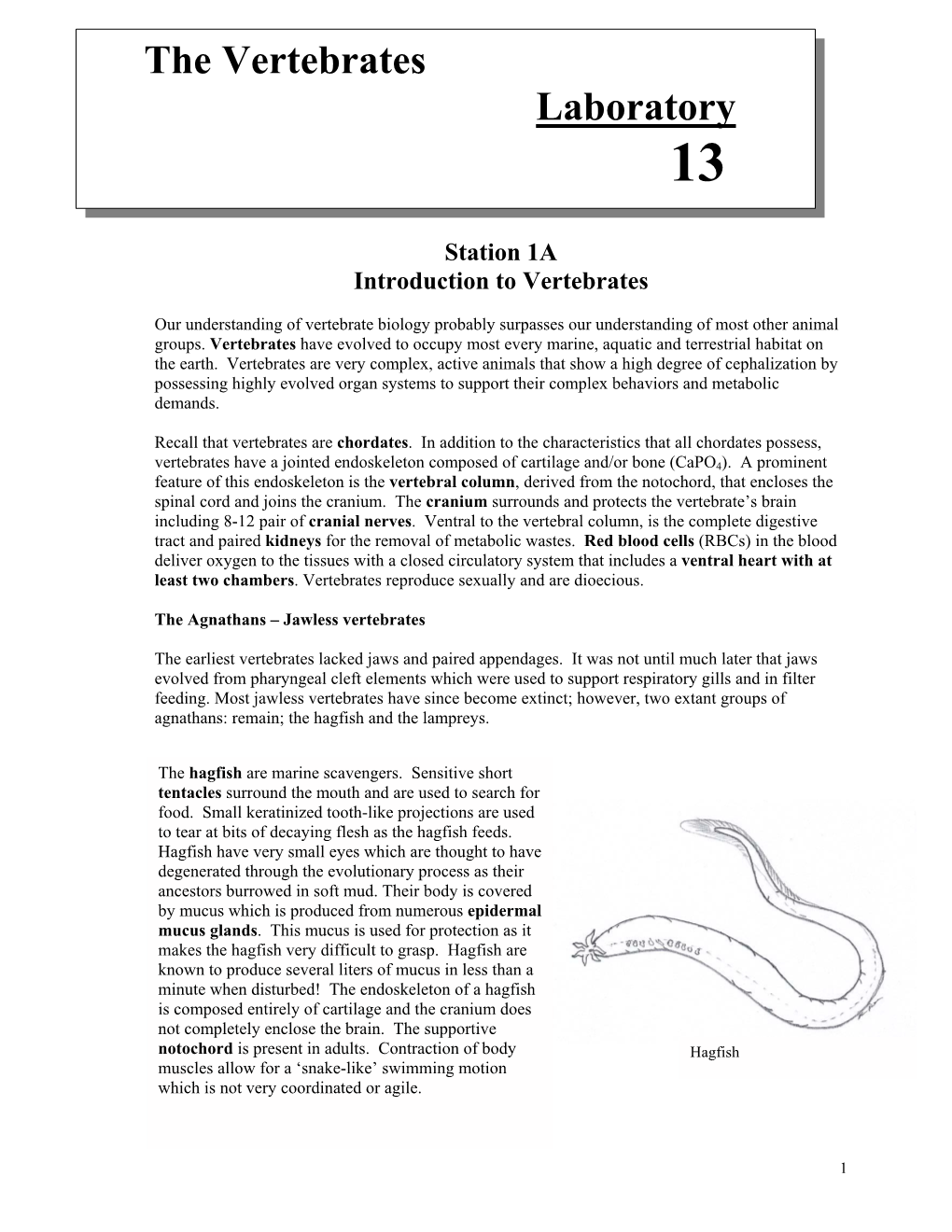 The Vertebrates Laboratory 13