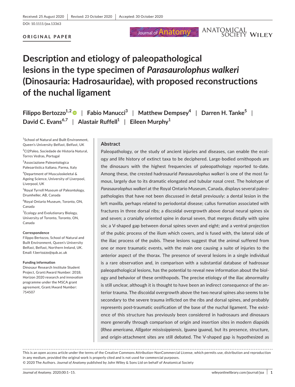 Description and Etiology of Paleopathological Lesions