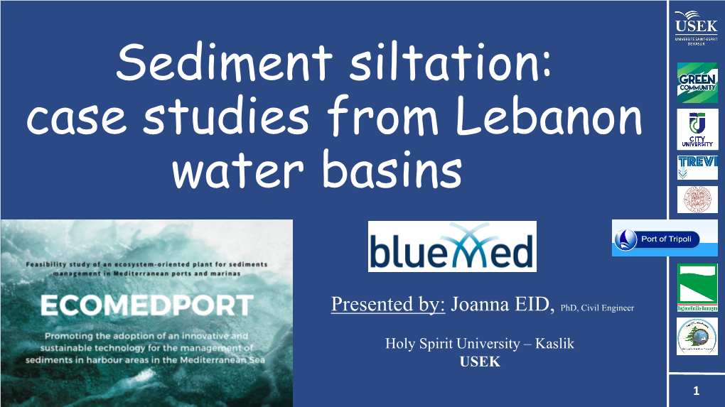 Sediment Siltation: Case Studies from Lebanon Water Basins