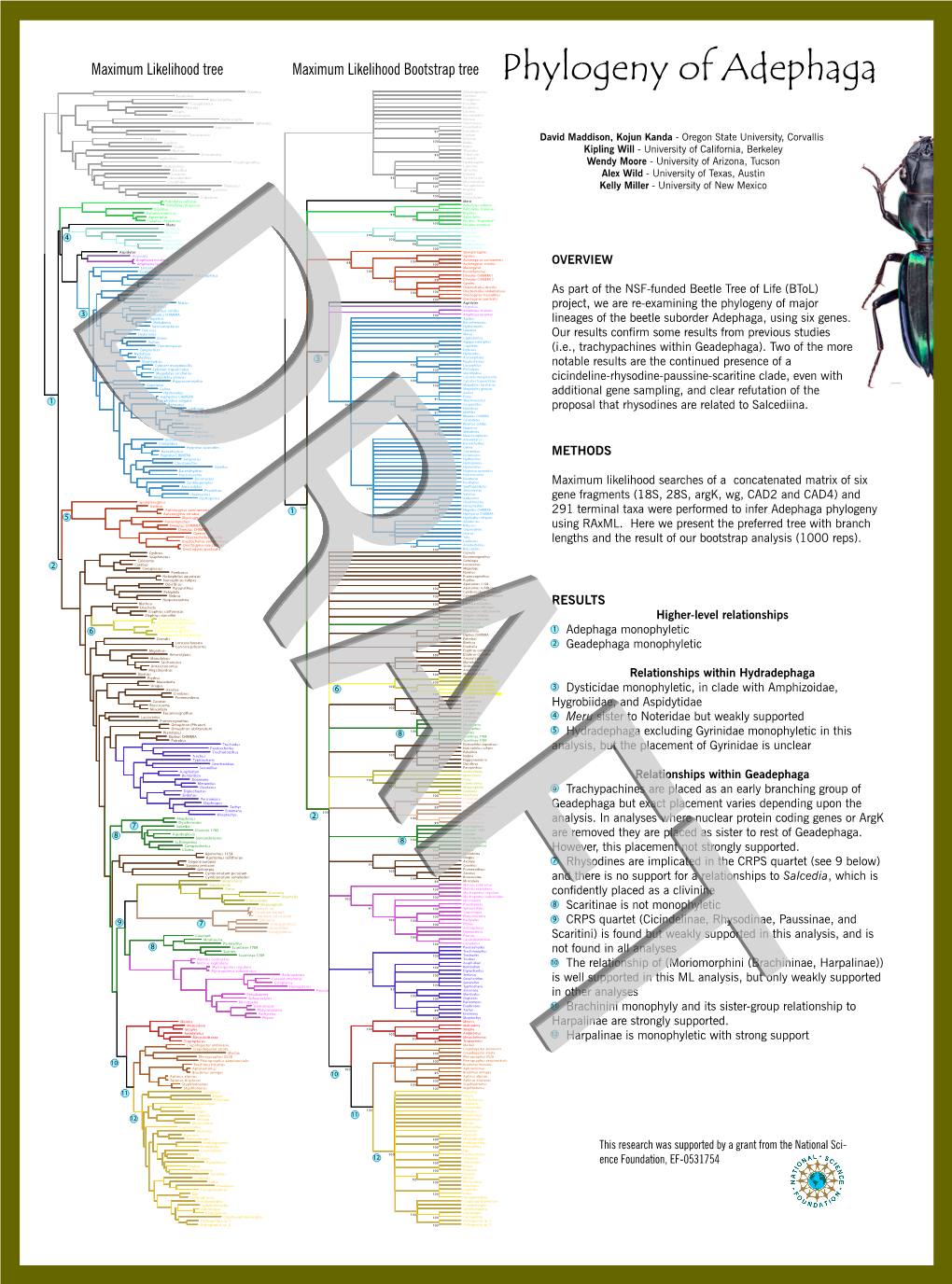 6Genes2treeposter Draft Locked