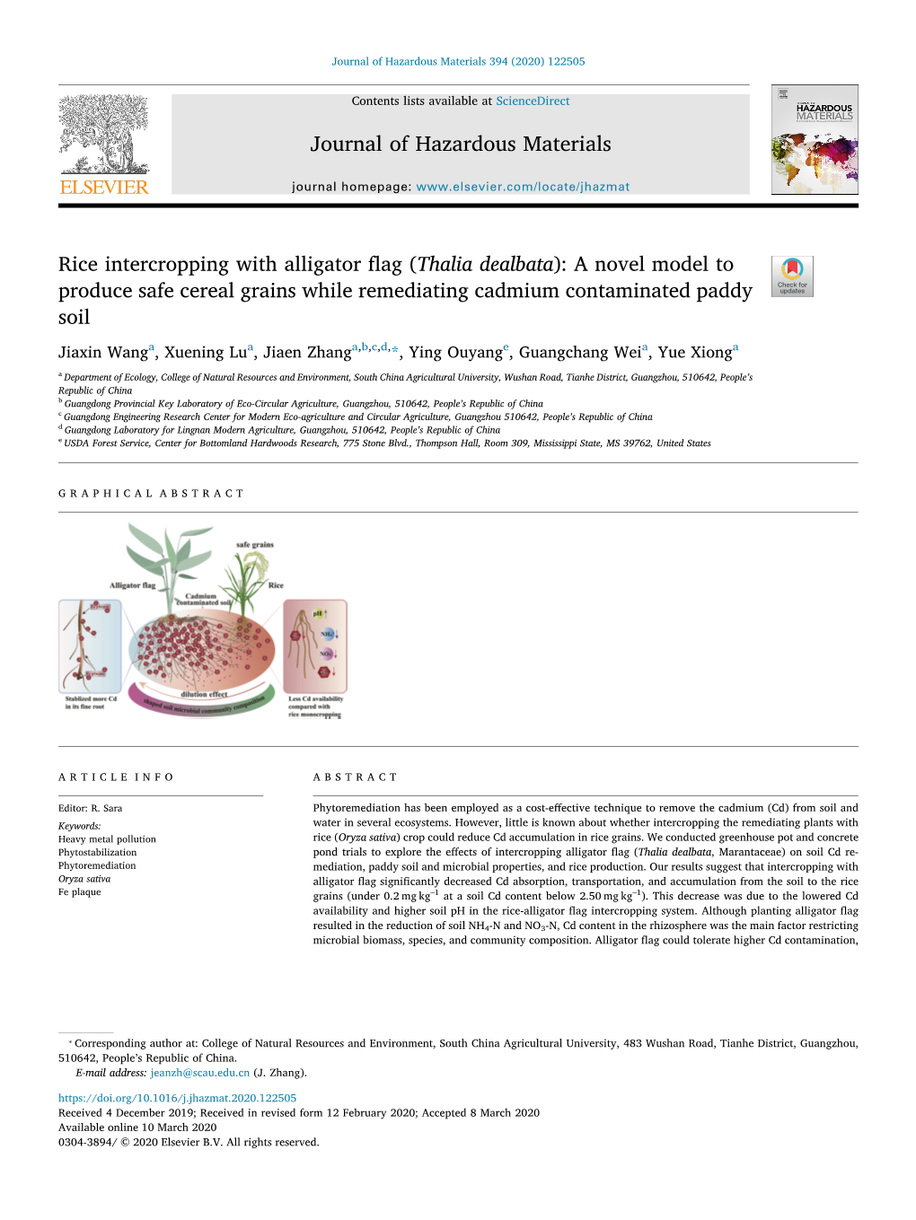 Rice Intercropping with Alligator Flag (Thalia Dealbata) a Novel Model To