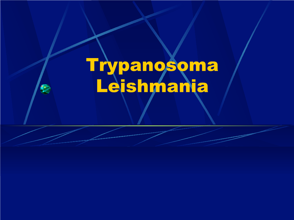 Trypanosoma Leishmania