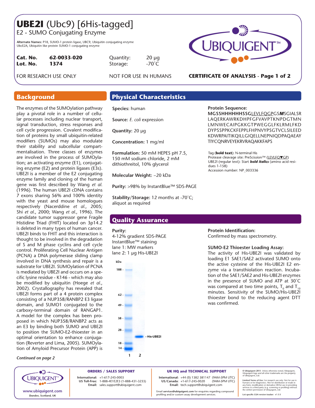 UBE2I (Ubc9) [6His-Tagged] E2 - SUMO Conjugating Enzyme