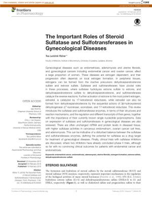 The Important Roles of Steroid Sulfatase and Sulfotransferases in Gynecological Diseases