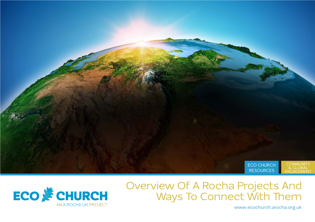 Overview of a Rocha Projects and Ways to Connect with Them
