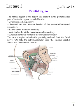 Parotid Salivary Gland and Lesions of the Facial Nerve