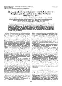 Sphingomonas and Rhizomonas As Nonphotosynthetic Members of the Alpha-4 Subclass of the Proteobacteria