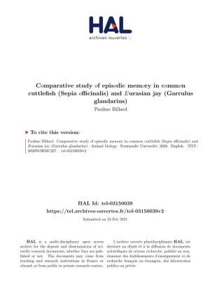 Comparative Study of Episodic Memory in Common Cuttlefish (Sepia Oﬀicinalis) and Eurasian Jay (Garrulus Glandarius) Pauline Billard