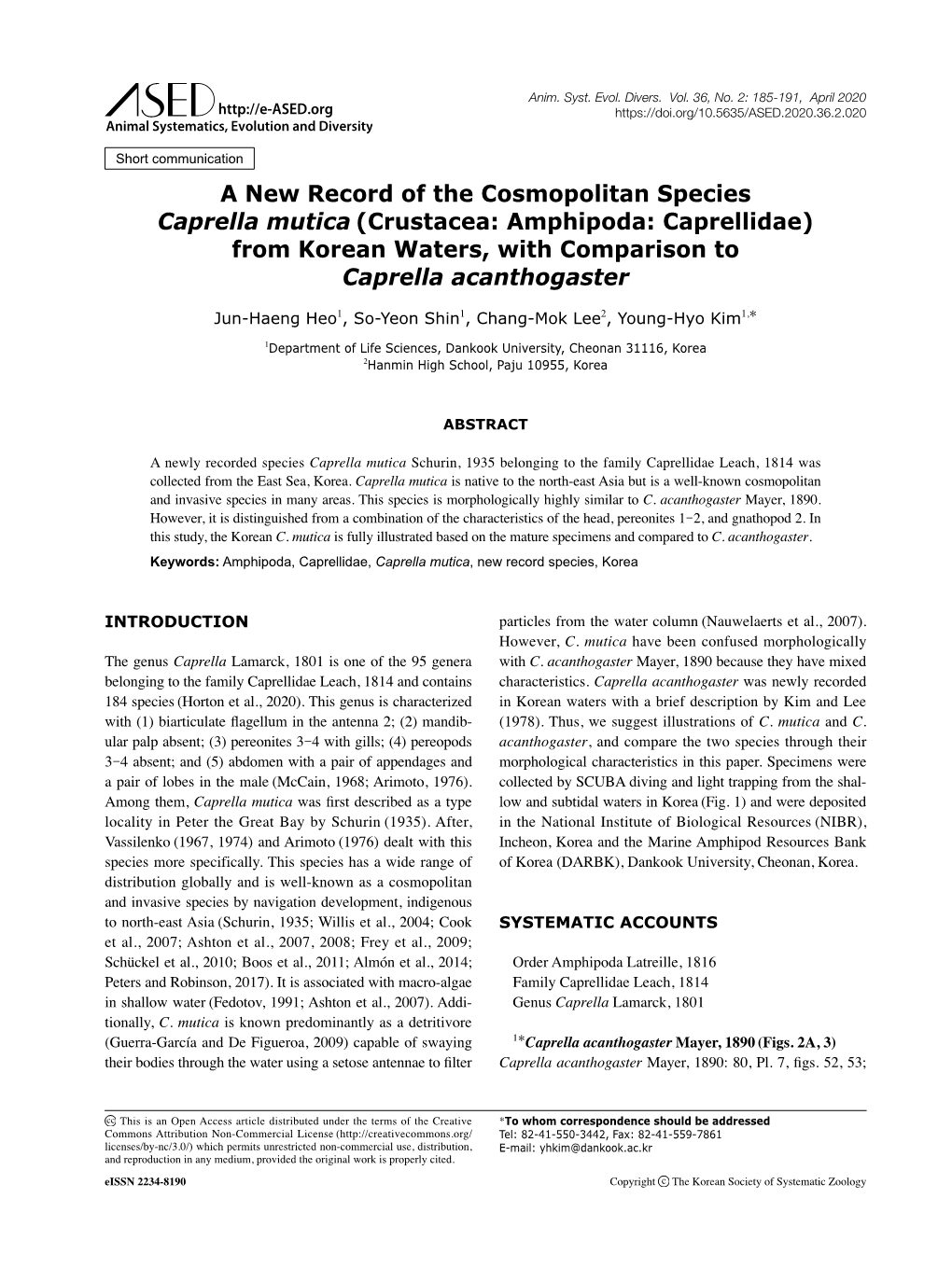 A New Record of the Cosmopolitan Species Caprella Mutica (Crustacea: Amphipoda: Caprellidae) from Korean Waters, with Comparison to Caprella Acanthogaster
