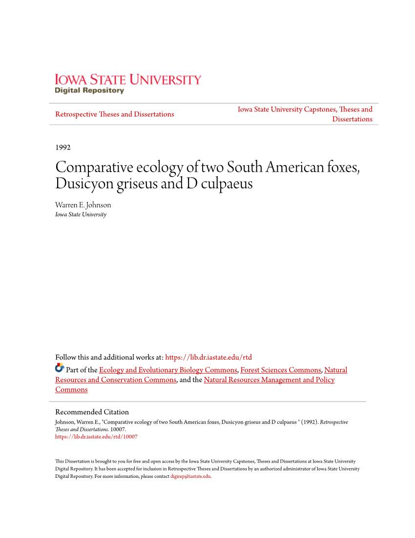 Comparative Ecology of Two South American Foxes, Dusicyon Griseus and D Culpaeus Warren E