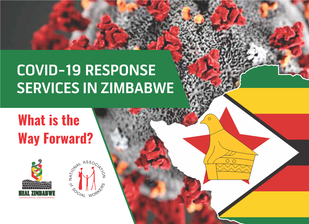 COVID-19 Response Services in Zimbabwe Final.Cdr