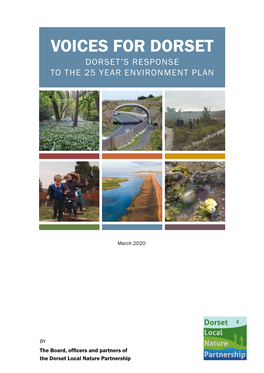 Voices for Dorset Dorset’S Response to the 25 Year Environment Plan