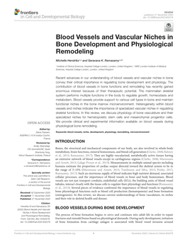 Blood Vessels and Vascular Niches in Bone Development and Physiological Remodeling