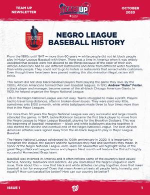 Negro League Baseball History