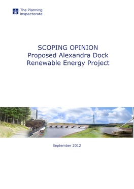 SCOPING OPINION Proposed Alexandra Dock Renewable Energy
