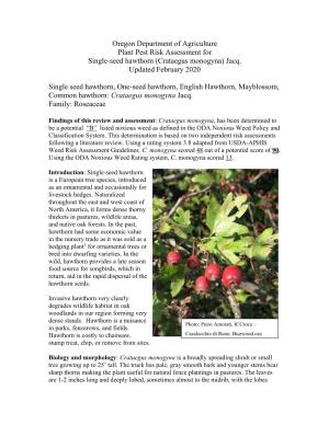 English Hawthorn Plant Pest Risk Assessment