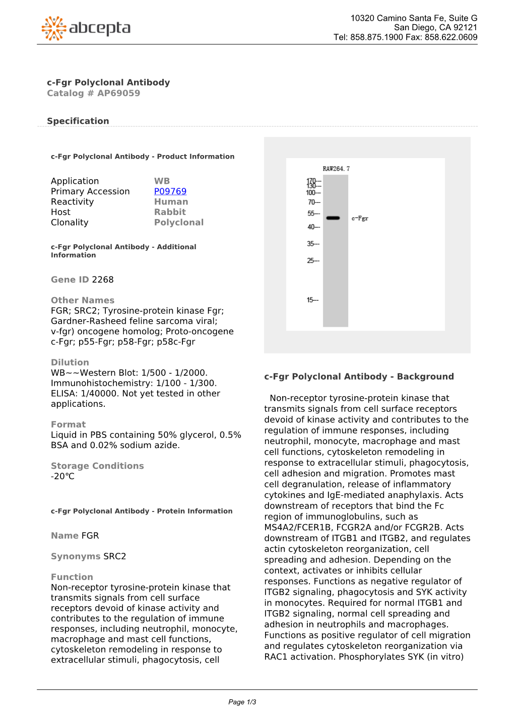 C-Fgr Polyclonal Antibody Catalog # AP69059