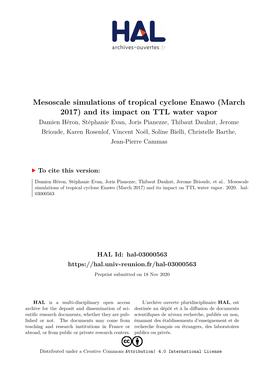 Mesoscale Simulations of Tropical Cyclone Enawo (March 2017)