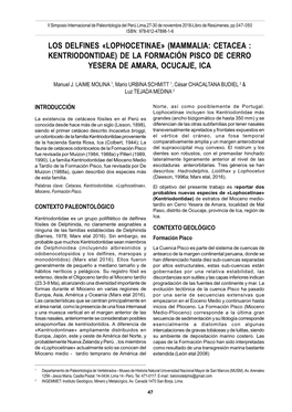 Mammalia: Cetacea : Kentriodontidae) De La Formación Pisco De Cerro Yesera De Amara, Ocucaje, Ica